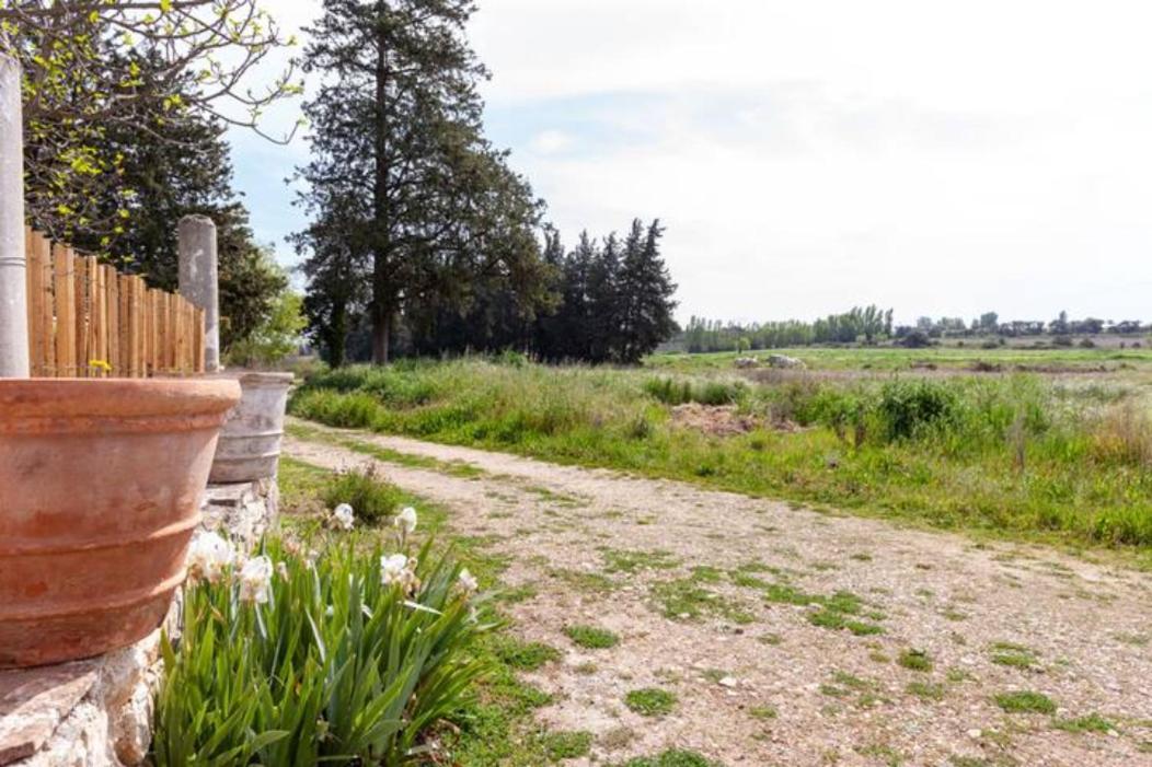 Villa Casa Cote Sud - Mas Bois Fontaine Nîmes Exterior foto